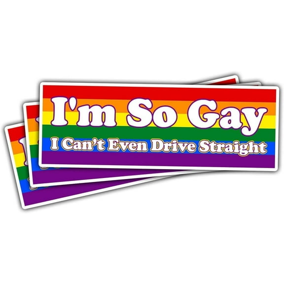3Pcs I'm So Gay I Can't Even Drive Straight Vinyl Sticker, Rainbow LGBT Stickers, LGBT Flag Pride Bumper Decal 3"