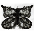 thumbnail image 2 of Kamdon Kreations 31x26 Black Ornate Wood Framed with Double Matting Museum Art Print Titled - I See a Butterfly, 2 of 4