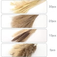 thumbnail image 2 of Nvzi -b 65 Pcs Pampas Grass,17"/43cm Natural Dried Pampas Grass Decor Tall,Boho Decor Pompous Grass,Fluffy Pampas Grass Plants for Flower Arrangements Home, Office, Wedding and Living Room, 2 of 4