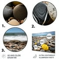 thumbnail image 3 of Designart "Sunlit Shadow Shore Conch" Nautical & Beach Metal Wall Decor, 3 of 5