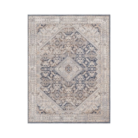Woven Trends Rachel - 4545-21061 - Transitional Style, Distressed Pattern, Pet & Family Friendly, Living Room, Dining Room, Office, Low Pile Polyester Area Rug in Brown - 12' x 15'