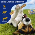 thumbnail image 7 of Natural 5-8" Bully Sticks for Small & Large Dogs-Long Lasting, Low Odor Dental Chew Treat-100% Real Beef - 8 oz. Bag-10 Sticks, 7 of 7