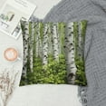 thumbnail image 2 of Shangniulu Throw Pillow Case Birch Trees Short Plush Square Cushion Cover Standard Pillowcase for Men Women Kids Home Decorative Sofa Armchair Bedroom Livingroom, 2 of 5