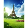 thumbnail image 3 of Telón de fondo ABPHQTO 150x220 cm Torre Eiffel Primavera París Flores florecientes Bosque Cielo azul Nube blanca Naturaleza Fotografía Romántica Fondo Niño, 3 of 3