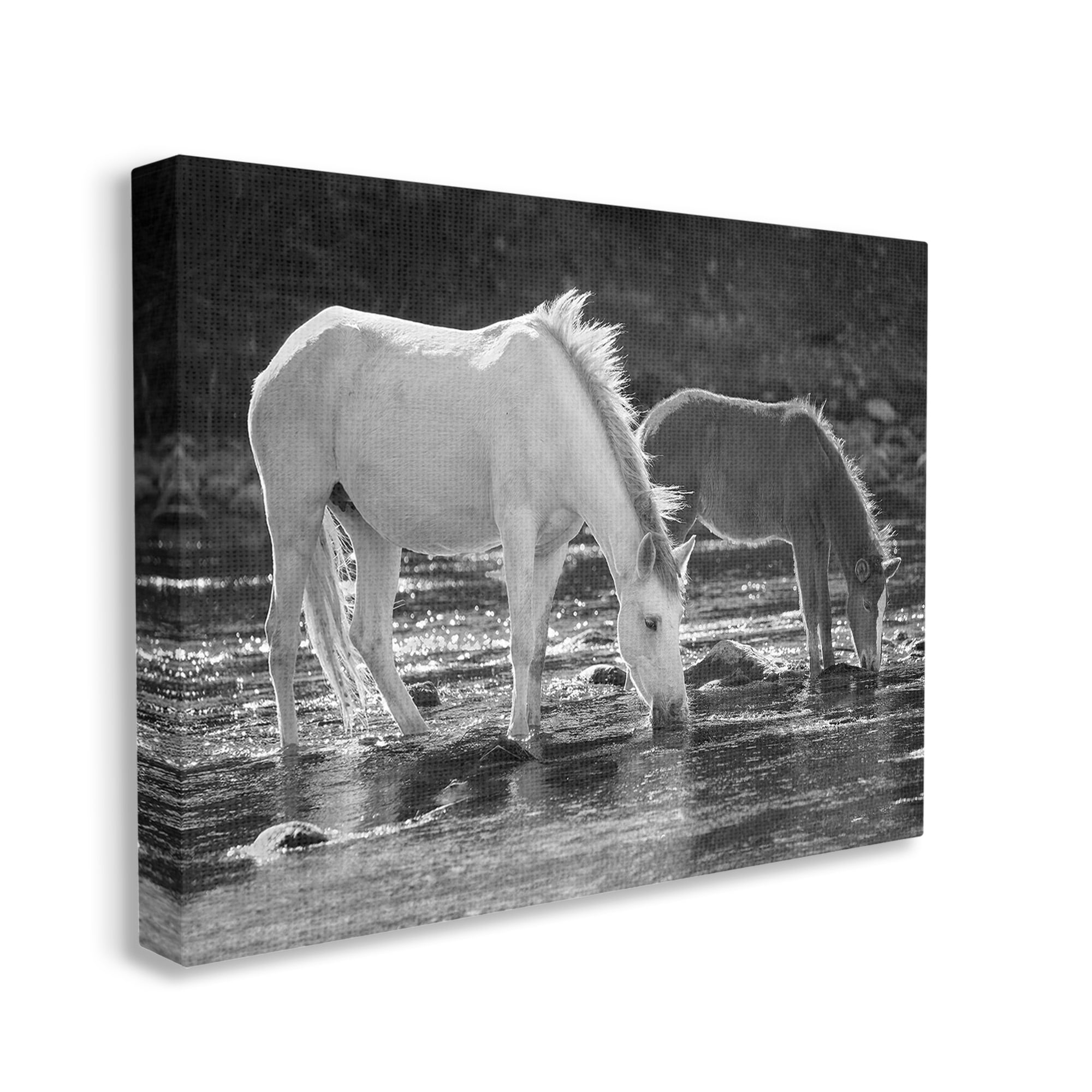 Stupell Industries Horses Drinking at Stream Animals & Insects Photography Gallery Wrapped Canvas Art Print Wall Art, 30 x 24