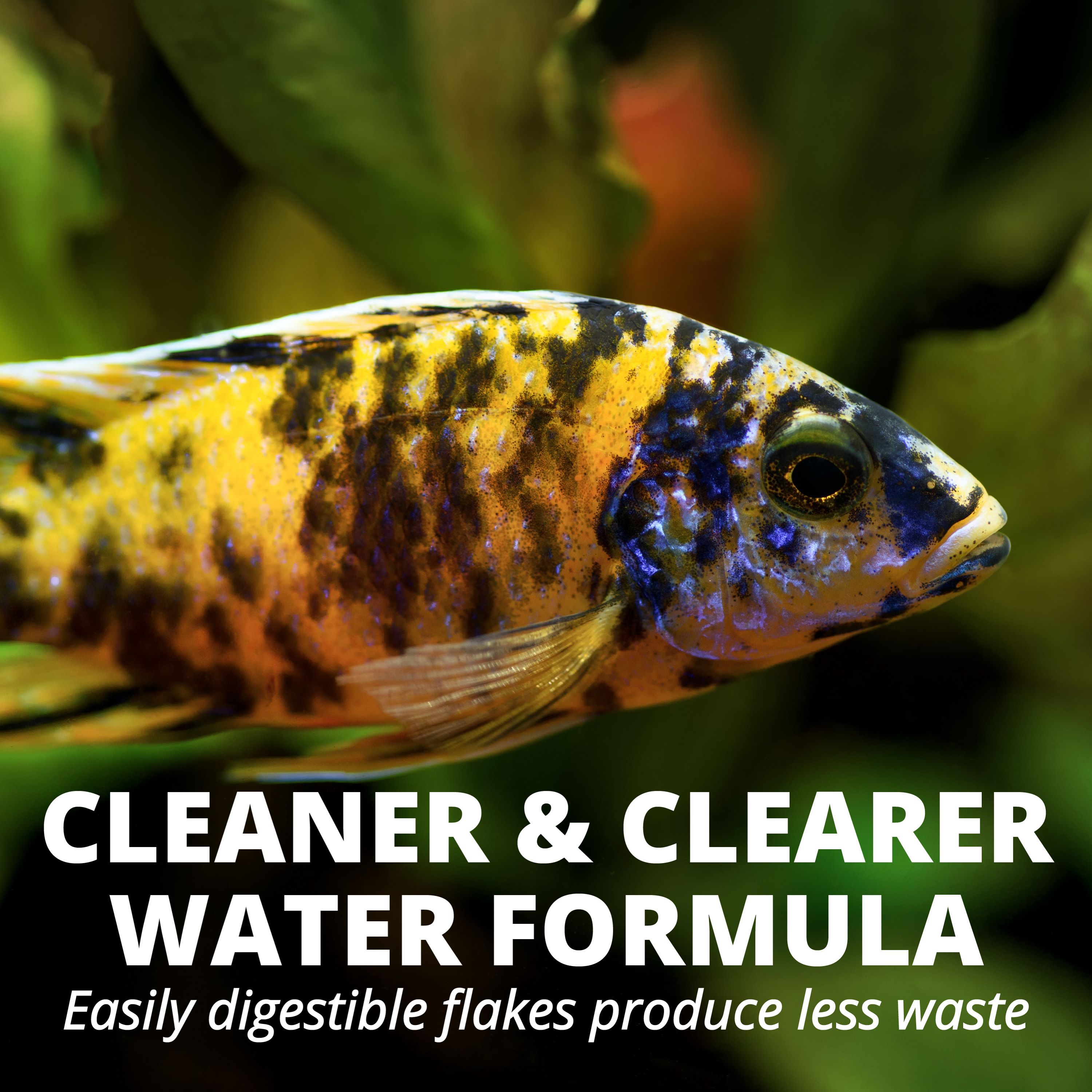 Tetra TetraCichlid Floating Pellets Fish Food photo 5