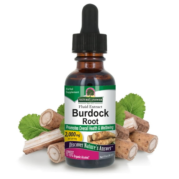 Natures's Answer Burdock Root Liquid Herbal Extract - Digestive & Detox Support - 1oz Low Alcohol