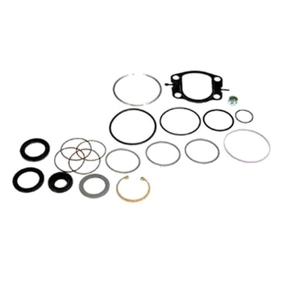 Steering Gear Seal Kit for Cadillac Escalade 1999-2000