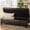 Brown, variant on Teal Pu Storage - Roomy With Storage, 50 In. D, 20.5 W, 18.44 H, 31.09 Lb. Functionality, 49.23 Depth, 20.84 Width, Height, Weight