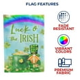 thumbnail image 4 of America Forever Gnome St Patricks Day House Flags 28" x 40" Double Sided Leprechaun Pot of Gold Holiday Luck of the Irish Seasonal Outdoor Yard St Patricks Day Decorations, 4 of 5