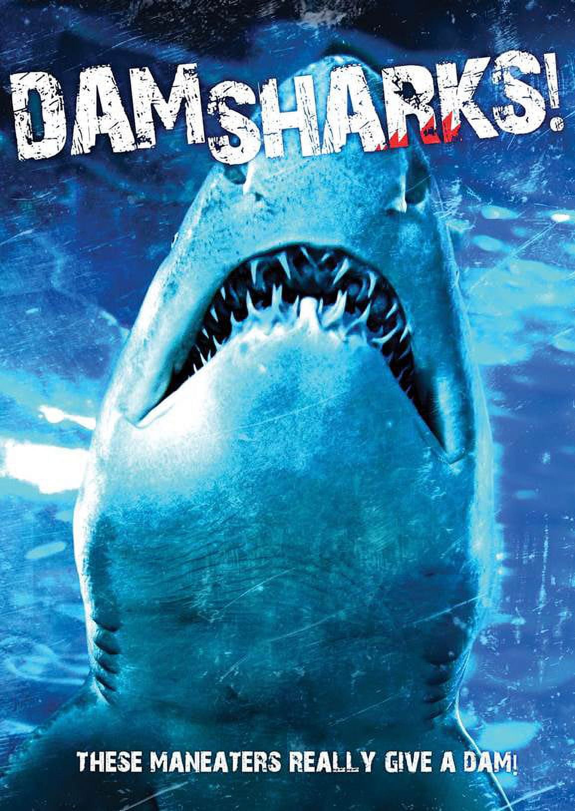 Johnny&#39;s - SHARK　DVD-BOX　通常版 DVD 81RBYcBU99L._UF350,350_QL50_.jpg