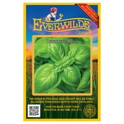 Everwilde Farms - 2000 Genovese Basil Herb Seeds - Gold Vault Jumbo Bulk Seed Packet