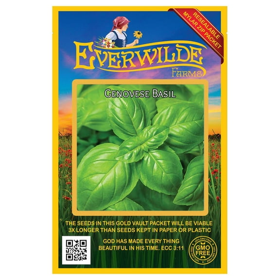 Everwilde Farms - 2000 Genovese Basil Herb Seeds - Gold Vault Jumbo Bulk Seed Packet