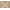 Tan/Ivory, variant on Mainstays Drizzle Navy/White Indoor Area Rug, 6' x 9'