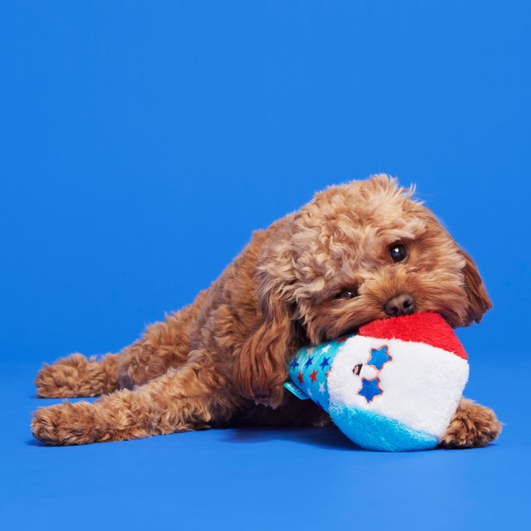 BARK Yankee Doodle Dogs Collection Available At Walmart - BARK Post