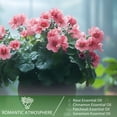 thumbnail image 5 of PHATOIL 30ml/1.01 fl.Oz Geranium Essential Oils for Diffusers Humidifier 100% Pure Natural Aromatherapy Massage Bath Sleep Relaxation, 5 of 7