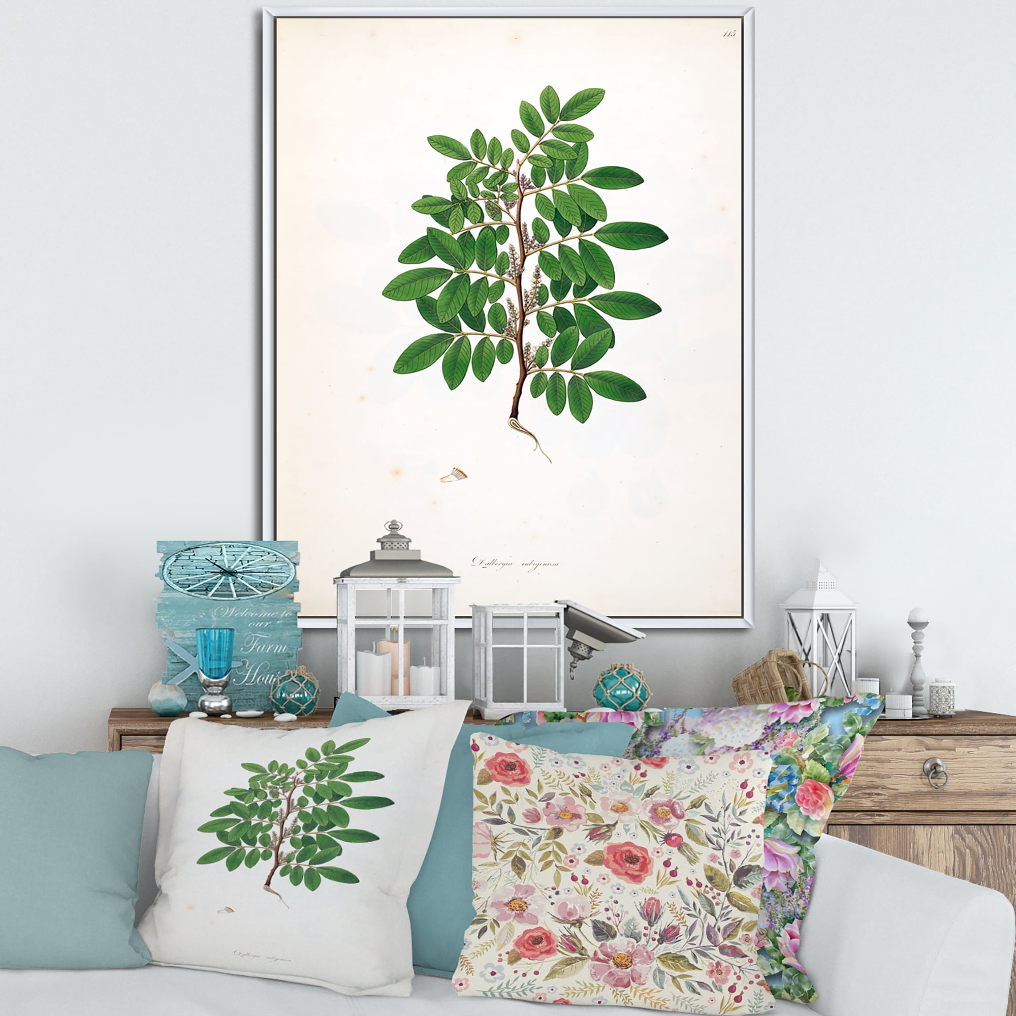 Designart 'Ancient Plant Life XX' Farmhouse Framed Canvas Wall Art Print