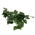 thumbnail image 3 of Crawler Simulation Green Vine, A Variety Of Models To Meet Different Needs Hanging Plant False Vine  For Decoration And Landscaping Of Fish, 3 of 8