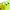 Watermelon Chartreuse, variant on Zoom Finesse 4.5'' Watermelon/Chart 20pk