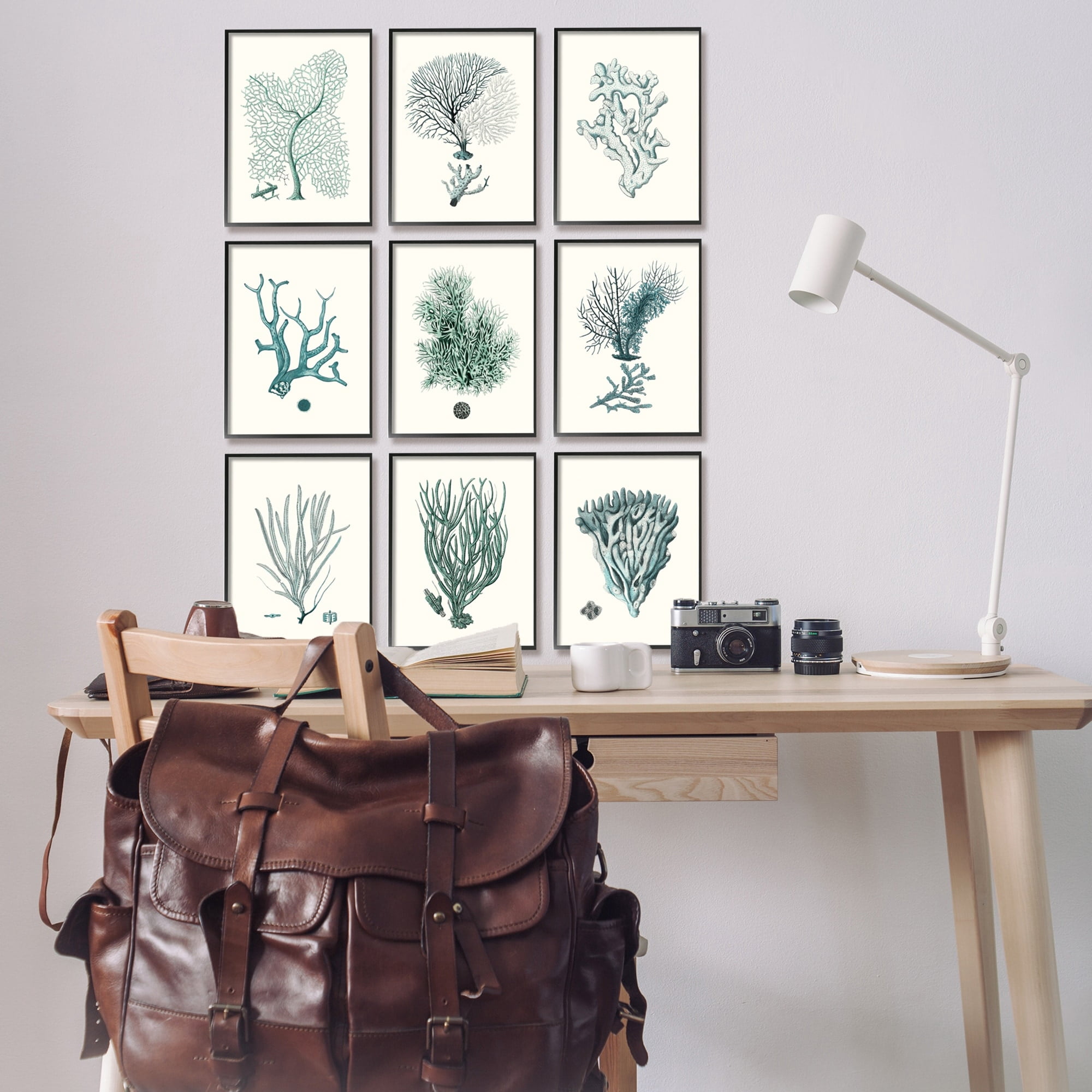 Stupell Industries Deep Sea Coral Arrangement Blue Ocean Plant Life Framed Wall Art, 11 x 14, Design by Johann Esper