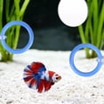 thumbnail image 2 of Betta Fish Tank Accessories Set with Mirror Floating Ball and Training Rings, Betta Aquarium Enrichment Toys Kit with Suction Cups Holder for Exercise Stimulation, 2 of 9