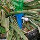 thumbnail image 2 of 12pcs Plant Er Ing Slow Se Plants Ing System, 2 of 4