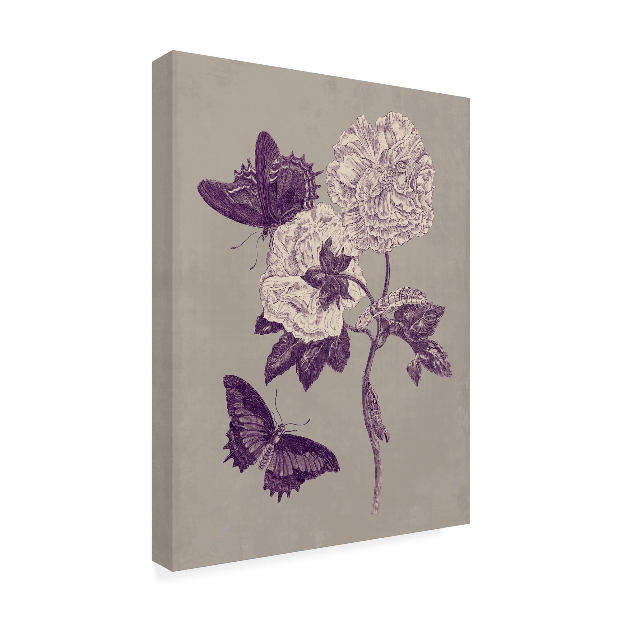 Trademark Fine Art 'Nature Study in Plum & Taupe IV' Canvas Art by Maria S. Merian