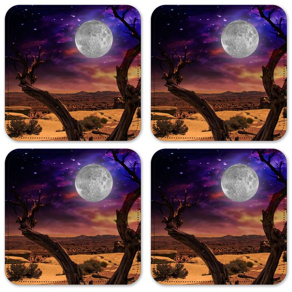 Vinyl Drink Coasters - Set of 4 - Space from the Desert