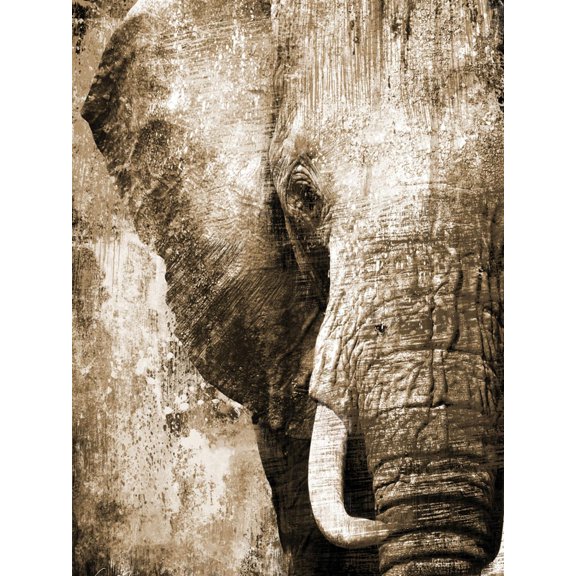 Art.com African Animals I - Sepia Art Print by Eric Yang, 12" x 16"