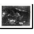 thumbnail image 2 of Historic Framed Print, In the deep forest, 17-7/8" x 21-7/8", 2 of 9
