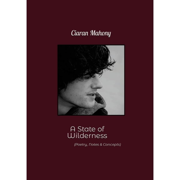 A State of Wilderness (Paperback)