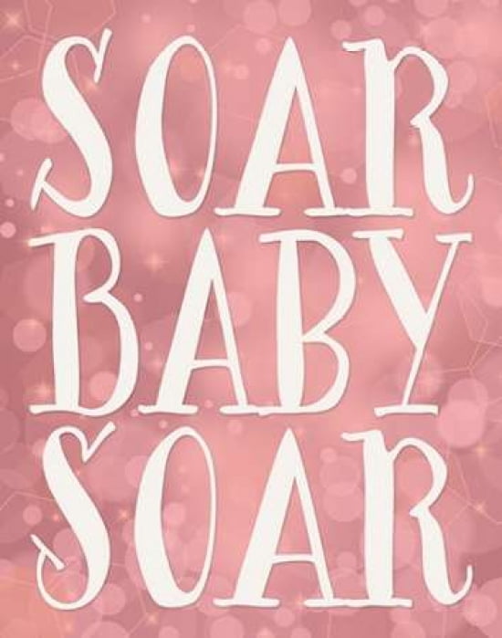 Soar Baby Soar Canv