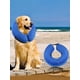thumbnail image 1 of 1pc Portable Pet Recovery Collar For Dog For Prevent Licking, 1 of 4