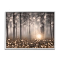 Stupell Industries Wild Flowers Foggy Forest Sunrise Horizon Bokeh Photography,14 x 11, Design by Lorie Deiter