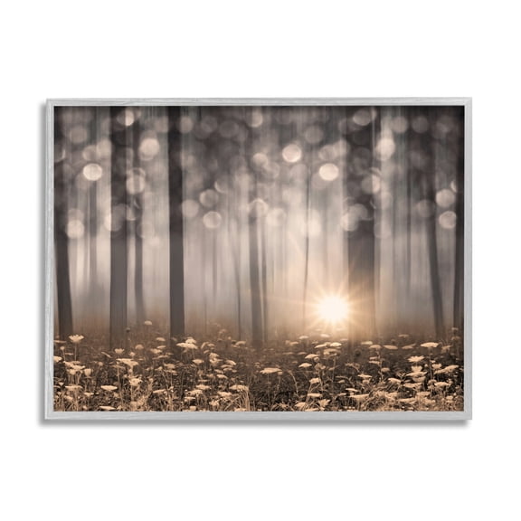 Stupell Industries Wild Flowers Foggy Forest Sunrise Horizon Bokeh Photography,14 x 11, Design by Lorie Deiter