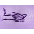thumbnail image 1 of Ahgly Company Machine Washable Indoor Rectangle Transitional Blossom Pink Area Rugs, 5' x 7', 1 of 7