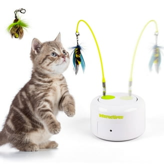 amazon.ca cat litter box Automatic Self-Cleaning Cat Litter Box Pro White