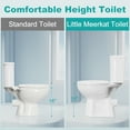 SUPERFLO 18 Inch High Toilet with Comfort Height Seat, Rear Outlet, and