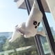 thumbnail image 1 of ER Decoración de ventana de Halloween Ventana de terror Fantasma Muñeco de peluche Stari brillar Electrónica, 1 of 5