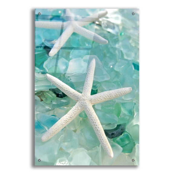 Epic Art 'Seaglass 1' by Alan Blaustein Acrylic Glass Wall Art, 24"x36"