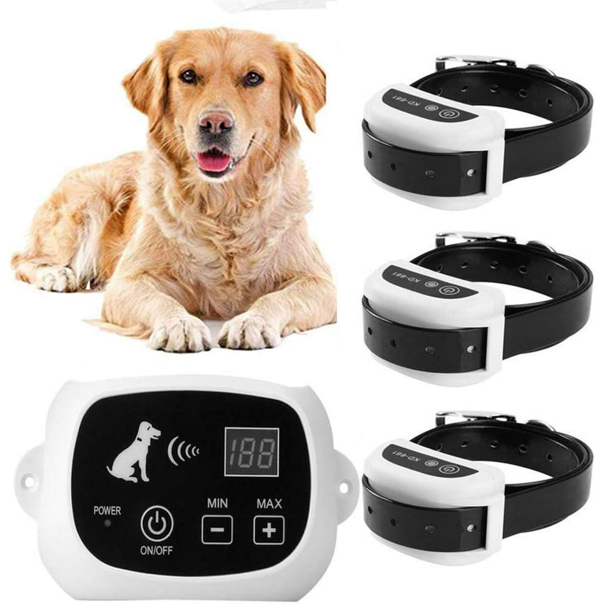 Are Electric Dog Fences Effective