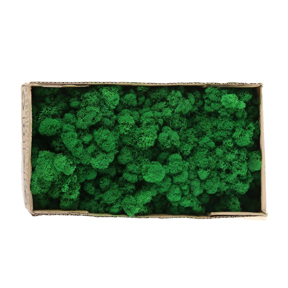 Elowen Natural Preserved Moss Decorative Moss Durable Natural Preserved Moss Model Making for Home Decor