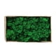 thumbnail image 2 of Musgo decorativo preservado Musgo preservado natural duradero para decoraciones del hogar Fabricación de modelos Jadeshay A, 2 of 8