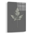 thumbnail image 2 of Epic Art 'Botanica 5' by Design Fabrikken, Acrylic Glass Wall Art, 16"x24", 2 of 8