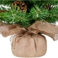 thumbnail image 6 of Yaheetech 3ft Pre-Lit Tabletop Christmas Trees with Pinecones, Set of 2, Green, 6 of 6