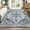 Blue tint, variant on RONSHIN Area Rugs Washable Carpets 5'*7' Machine Washable Rug Vintage Persian Area Rugs Carpet Distressed Rug Anti-Slip Low Pile Rug for Living Room Bedroom,Blue Blue tint 5*7ft