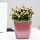 thumbnail image 4 of Ounissouiy Maceta para jardín doméstico, macetas fáciles de mantener y duraderas para plantas de interior, decoración de jardín, planta Jardín y Patio oro rosa cuadrado G103, 4 of 6
