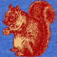 thumbnail image 2 of CafePress - Squirrel - Cute Infant Baby Football Bodysuit, 2 of 3