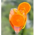 thumbnail image 4 of Aperol Spray Glass Mara XL - Cocktail Glass 445ml for Aperol Spritz, Hugo, Amalfi, Cocktails, Pack of 6$$Home Decor, Kitchen, & Other, 4 of 9
