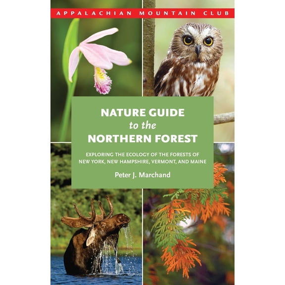 Pre-Owned Nature Guide to the Northern Forest: Exploring the Ecology of the Forests of New York, New Hampshire, Vermont, and Maine (Paperback) 1934028428 9781934028421
